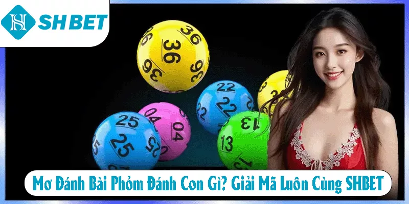 Mơ Đánh Bài Phỏm Đánh Con Gì? Giải Mã Luôn Cùng SHBET
